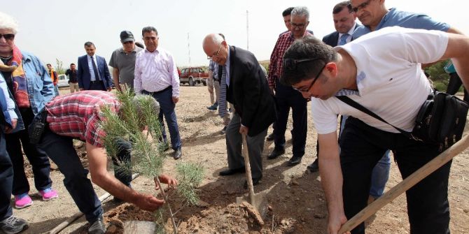 Yenimahalle Belediyesi’nden Sivaslılara Hatıra Ormanı