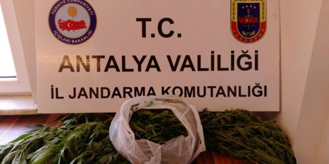 Alanya’da Uyuşturucu Operasyonu