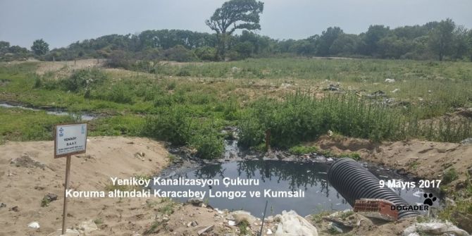 Karacabey Longozu Tehlike Altında