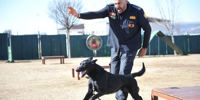 K-9 Bomba Arama Köpekleri Göreve Hazır