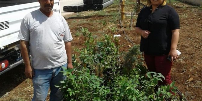 Adana Organize Sanayi Bölgesi Sanayicilere 6 Bin Fidan Dağıttı