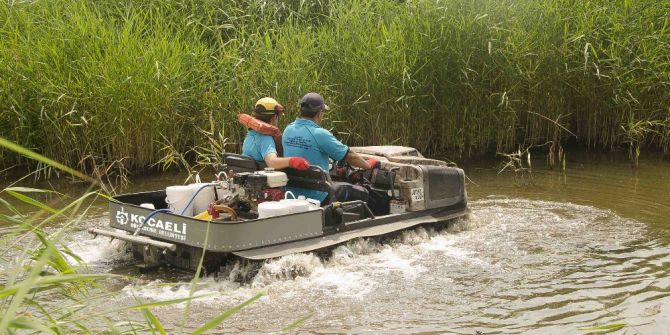 Vektör Mücadelesinde Yaz Dönemi Başladı