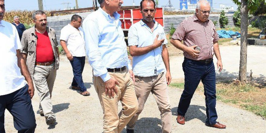 Başkan Karalar, Zeytinli’de İncelemelerde Bulundu