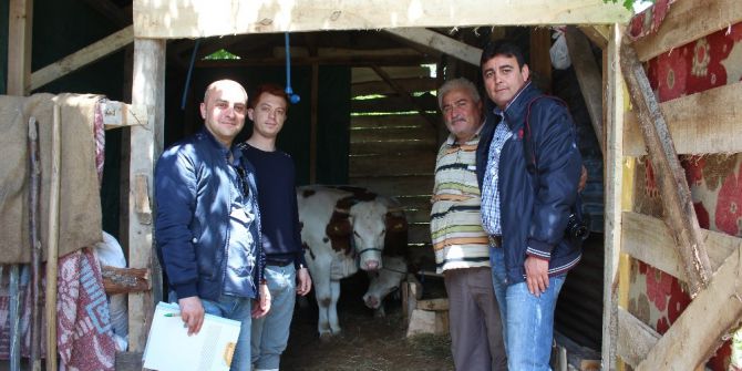 Süt Sığırcılığı 19 Aileye İş Kapısı Oldu