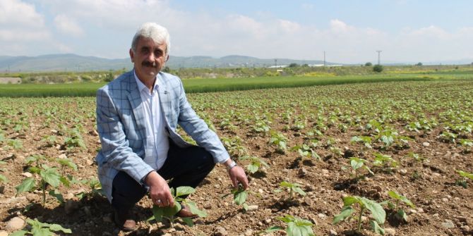 Yenişehir’de 400 Bin Dekar Alan Suya Kavuşuyor