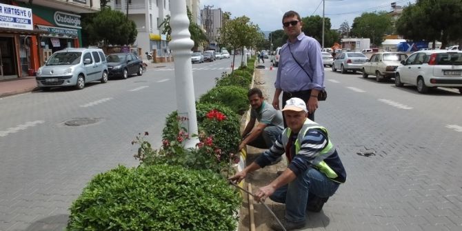 Burhaniye’de Yeşil Alanlara Otomatik Sulama Sistemi