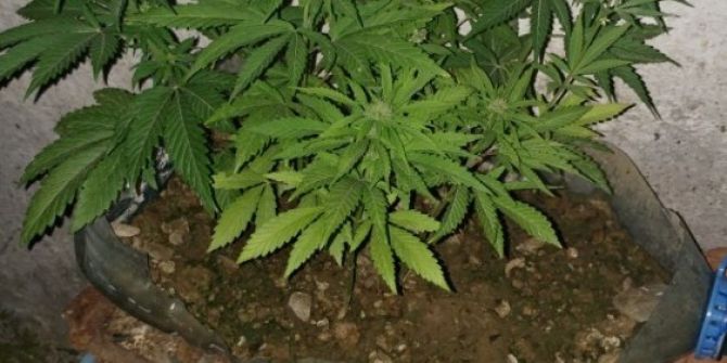 Balıkesir’de Uyuşturucu Operasyonu