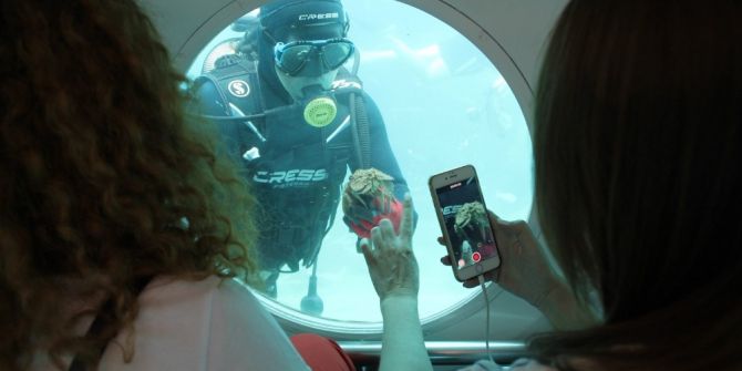 Sanatçıların Denizaltı Keyfi