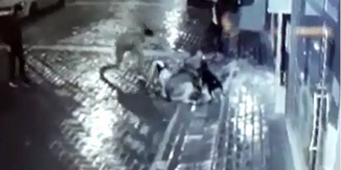 Manisa’da Köpeğe İşkence Yapan Şahıslar Yakalandı