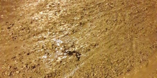 Başkent’te Taşan Derenin Suları Hayatı Felç Etti