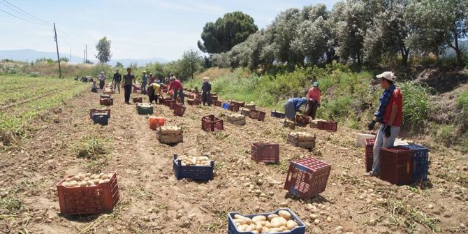 Patates Çiftçinin Yüzünü Güldürecek