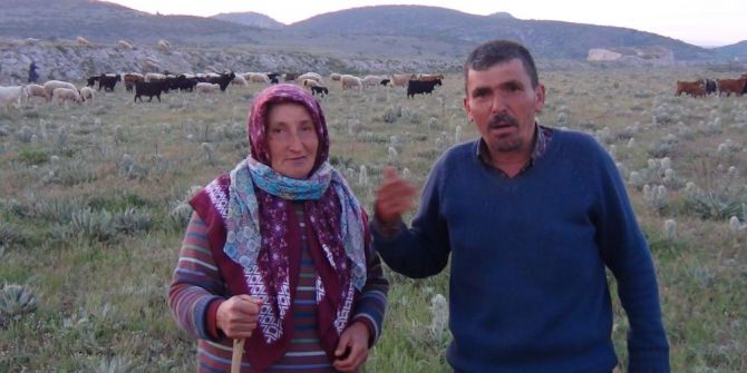 Tavşanlı’da Koyunların Telef Olduğu İddiası