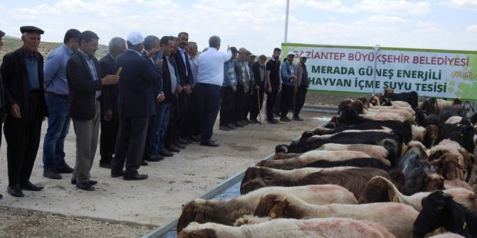 Büyükşehir’den Güneş Enerjili İçme Suyu