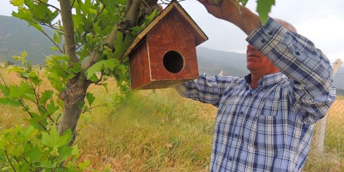 Yüksekokul Öğrencilerinden Kuşlar İçin Yuva