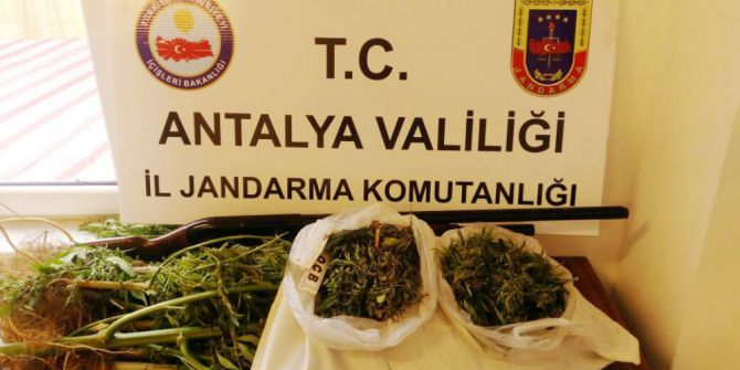 Jandarmadan Uyuşturucu Operasyonu