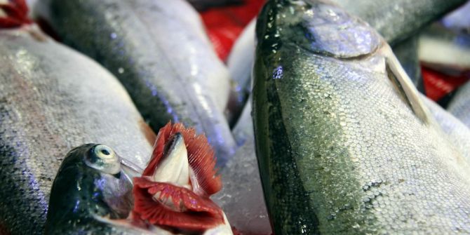 Balıkçılar Ramazan’dan Umutlu