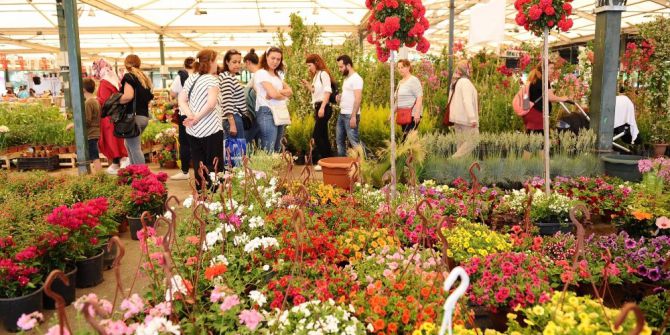 Çiçek Festivali Renkli Görüntülere Sahne Oldu
