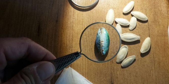 Mikro Art İle Hayata Bakış