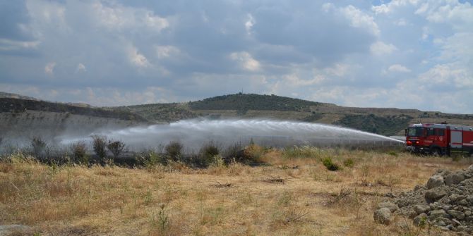 Aliağa Osb’de Otluk Alanda Yangın