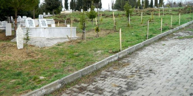 Kütahya’da 8 Mezarlığa 4 Bin 433 Adet Fidan Dikildi