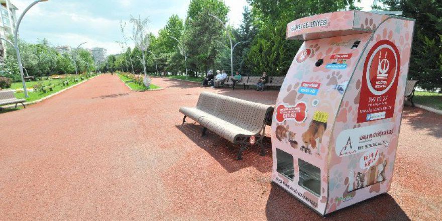 Doğayı Ve Sokak Hayvanlarını Koruyan Proje Büyük İlgi Görüyor