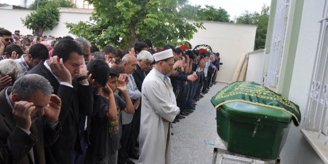 Halı Dünyası Yasta