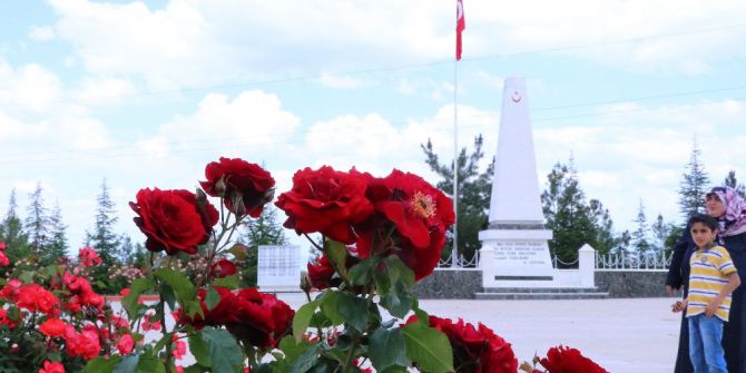 Şehir Mezarlığı Peyzajıyla Örnek Oluyor