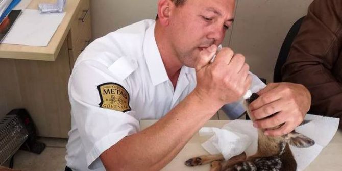 Bulduğu Yavru Ceylanı Bebek Gibi Besledi