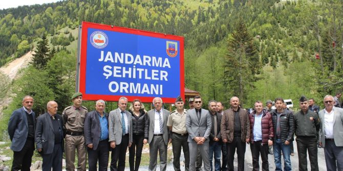 Rize’de Jandarmadan Şehitler Ormanı