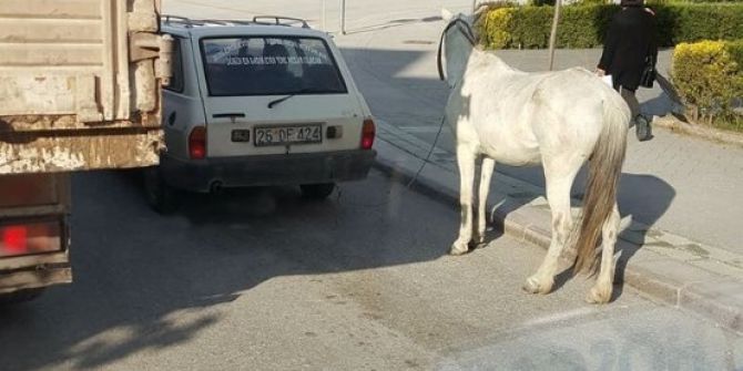 Eskişehir’de Yürek Sızlatan Görüntü
