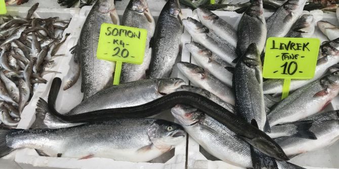 Karadenizde 1 Metre Uzunluğunda Yılan Balığı Yakalandı