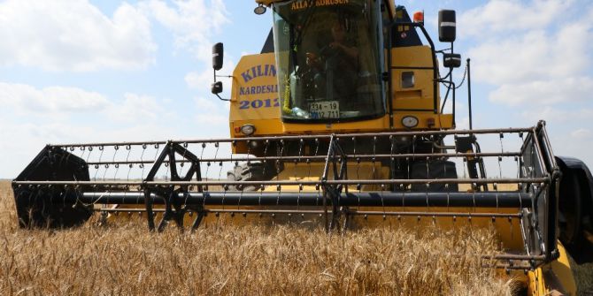 Çukurova’da Buğday Hasadı Başladı