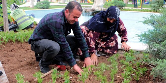 Sınırın Sıfır Noktasında Çiçek Ekimi