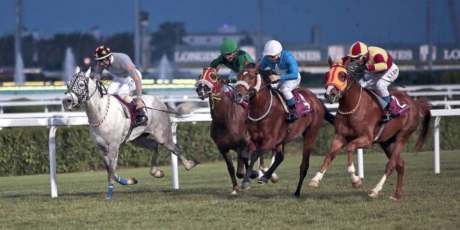 Kırkpınar Koşusu’nun Galibi ‘İzşan’