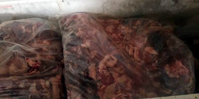 Aydın’da 5 Ton Kaçak Domuz Eti Yakalandı