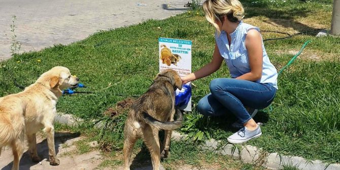 Ayvalık’ta Can Dostlara Otomatik Suluklar Kazandırılıyor