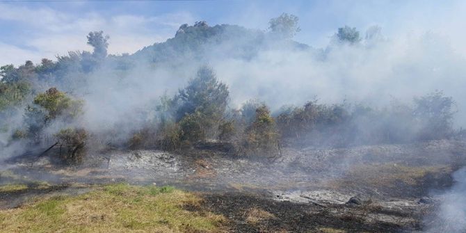 Otları Yakarken Ormanı Tutuşturdu
