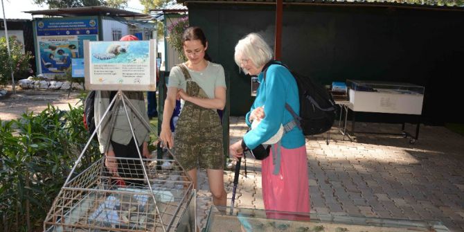 Deniz Kaplumbağaları Müzede Tanıtılıyor