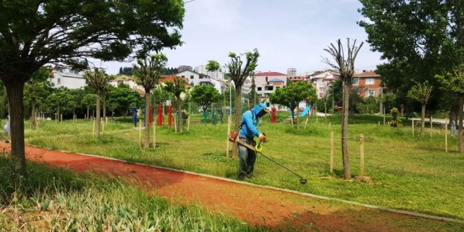 İzmit’te Mahalleler Tırpandan Geçiriliyor
