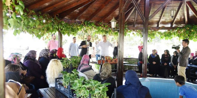 İzmit’te Balkonlarda Organik Sebze Yetişecek