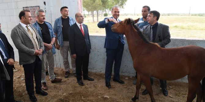 Avrupa’nın En Büyük "Engelsiz Yaşam Merkezi" Adana’da
