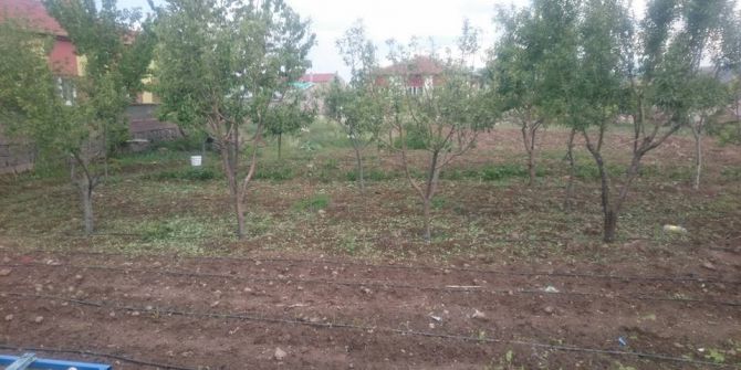 Niğde’de Tarım Arazilerini Dolu Vurdu