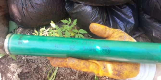 Bitlis’te Bir Ton Eyp İmha Edildi