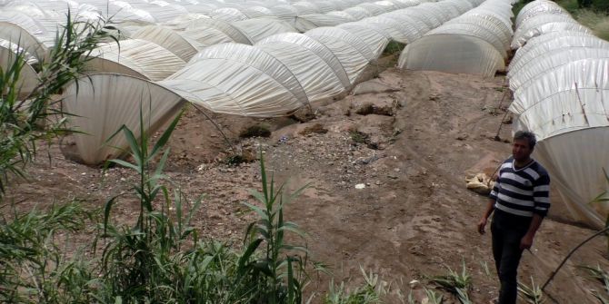 Sağanak Yağışla Gelen Sel Çilek Seralarına Zarar Verdi