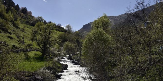 Tarihi Değirmenler Zamana Direniyor
