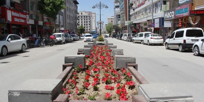 Van Mevsim Çiçekleriyle Renklendi