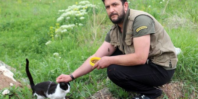 Sokak Hayvanları İçin Meşrubat Şişelerini Topluyor