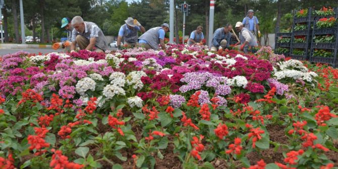 Diyarbakır’da 1 Milyon Mevsimlik Çiçek Dikiliyor
