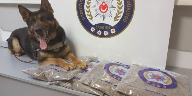 İstanbul’dan Getirilen 4 Kilo Bonzai İle İlgili 5 Gözaltı