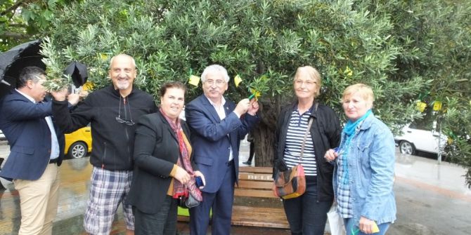 Balıkesir’de Zeytinciler Kanundan Endişeli